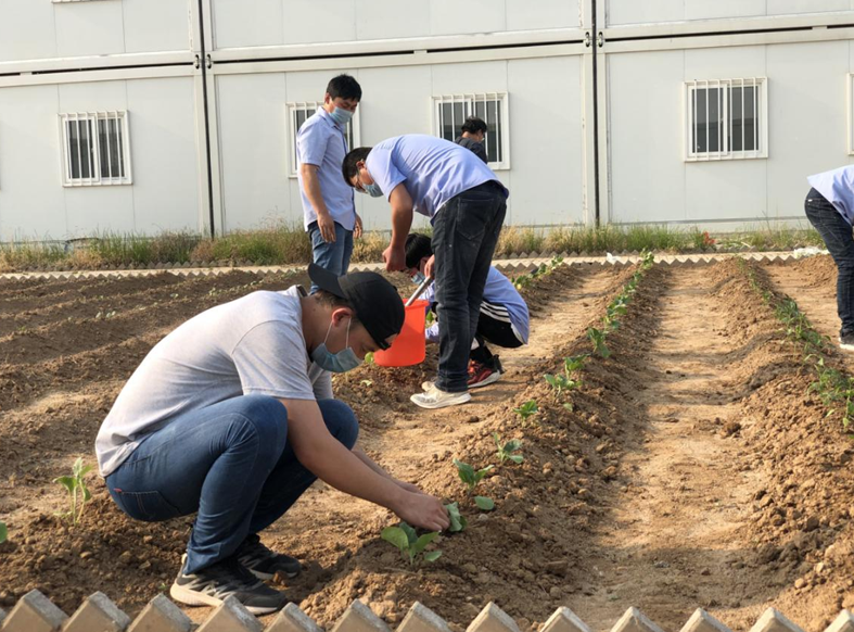 william威廉中文官网