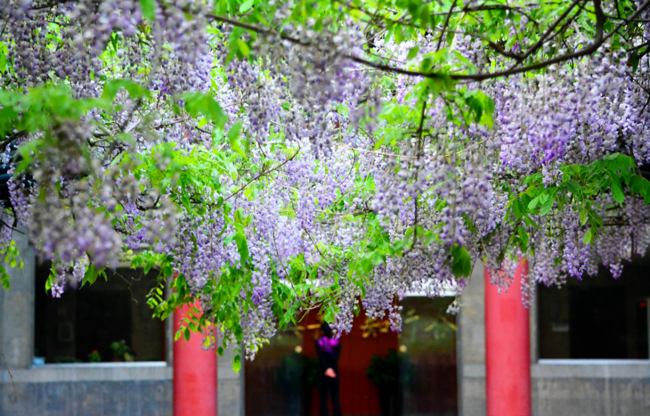 william威廉中文官网