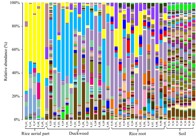 william威廉中文官网