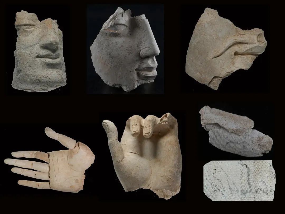 william威廉中文官网