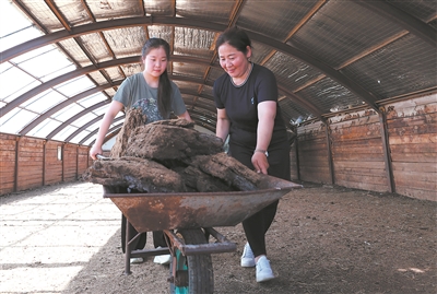 william威廉中文官网