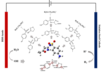 william威廉中文官网