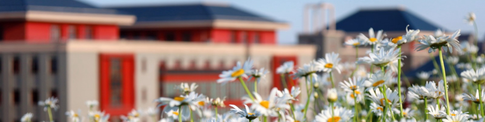 william威廉中文官网